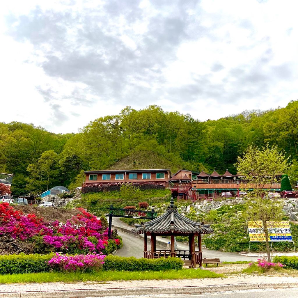 산애들발효원